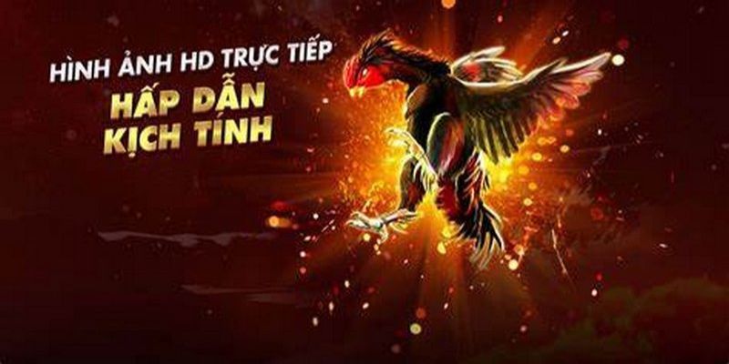 Trực tiếp đá gà casino hấp dẫn năm 2022