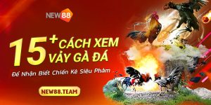 1 15 cach xem vay da ga de nhan biet chien ke sieu pham