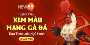 Màu mạng gà đá