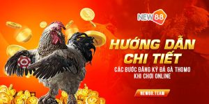 Huong dan chi tiet cac buoc dang ky da ga Thomo khi choi online