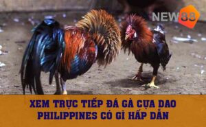 đá gà cựa dao Philippines